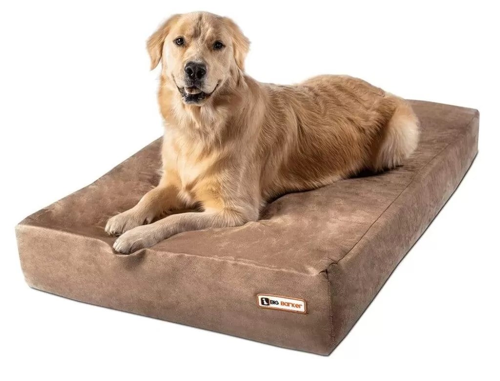 Casper Dog Bed vs Big Barker Ultimate Comparison (2023) Best Dog
