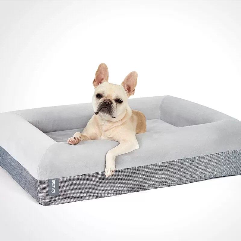 Casper vs Barney Dog Bed Which Luxury Bed Reigns Supreme? Best Dog