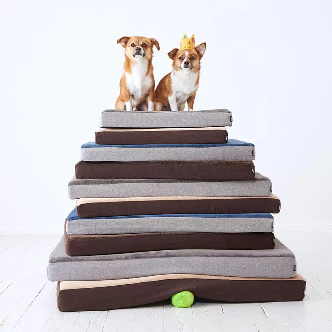Bark Beds Reviews The Best Dog Beds for Comfort in 2023? Best Dog Resources