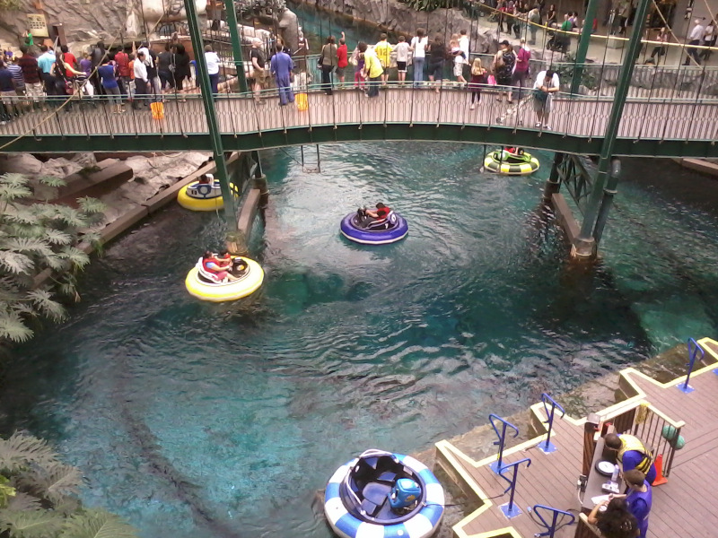 Bumper Boats