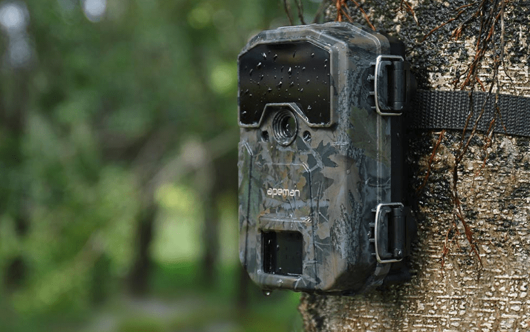 8 Best Wildlife Trail Cameras Reviews and Offers Buy from UK 2020