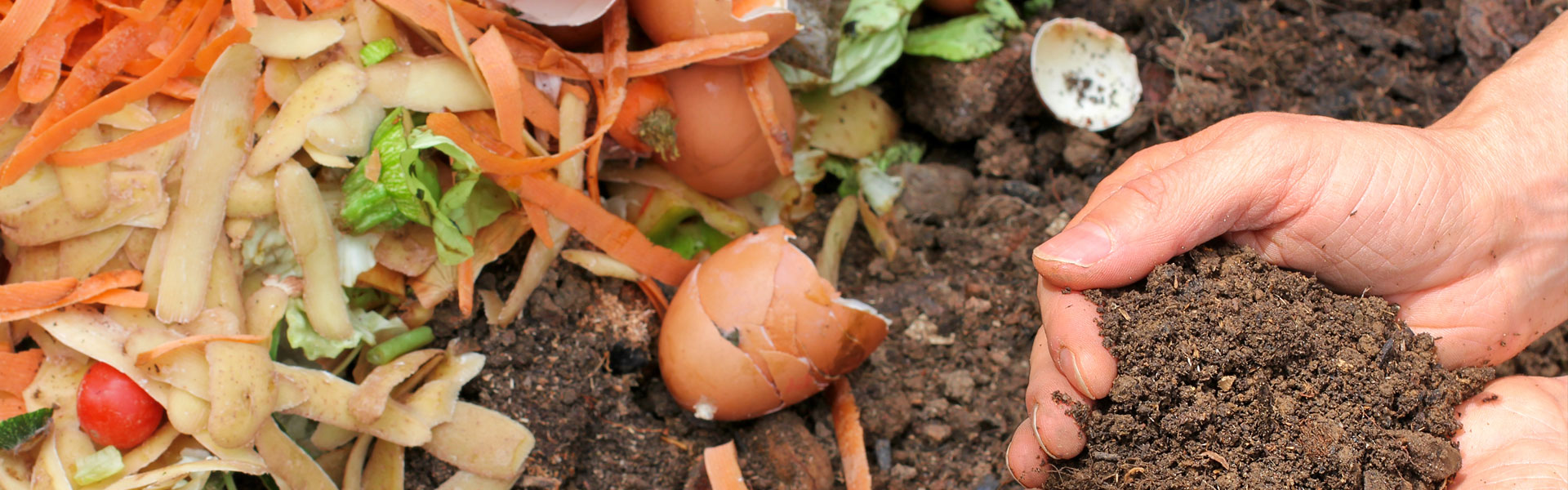 14 Benefits Of Worm Farming Environmental Solution