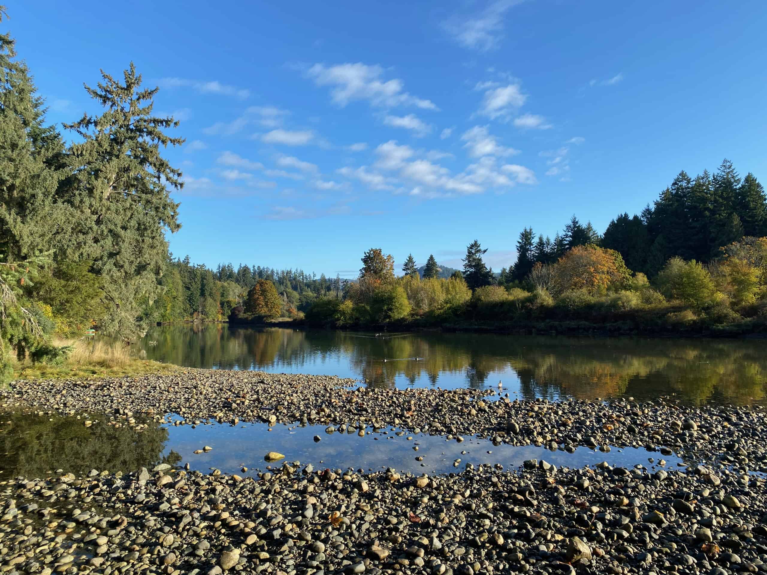 Sooke River Campground Best Basecamp For Serviced Sites BestEver.Guide