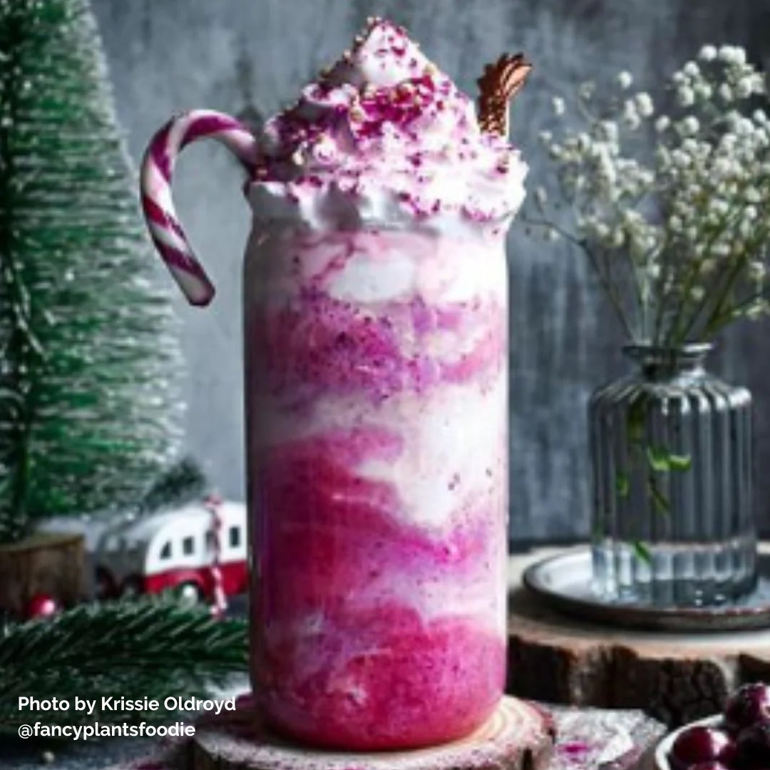 Best Ever Backdrops Best Food Photography Backdrops Online