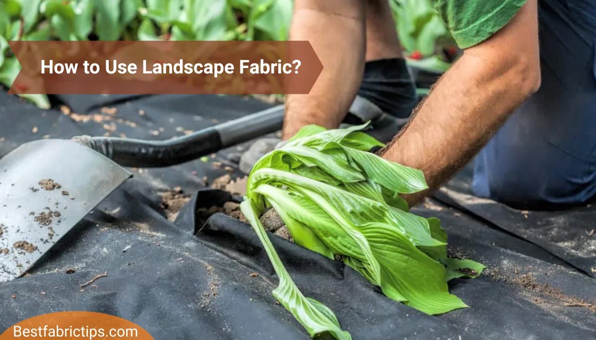 How to Use Landscape Fabric Step by Step Complete Guide