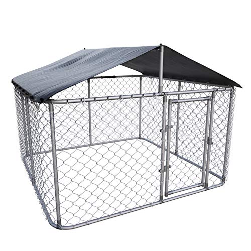 Dog Pens for Outside 10 X10 X6 Best Family Pets
