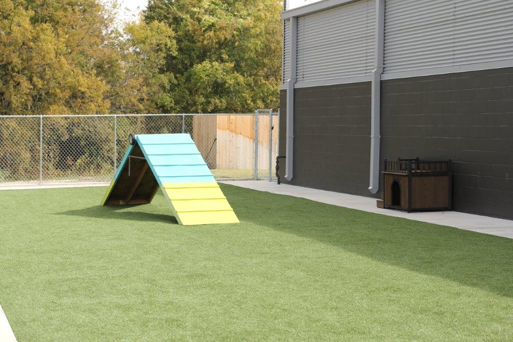 Gallery Best Fido Friends Dog Daycare, Dog Boarding, Dog Training & Dog Grooming in Waco, Texas