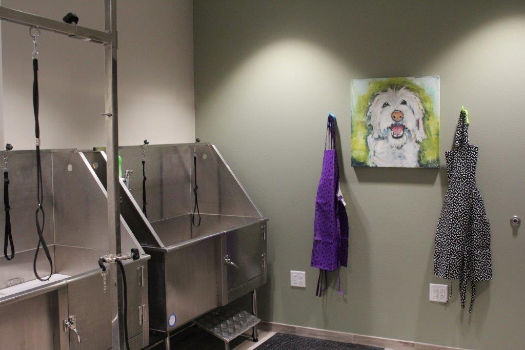 Gallery Best Fido Friends Dog Daycare, Dog Boarding, Dog Training & Dog Grooming in Waco, Texas