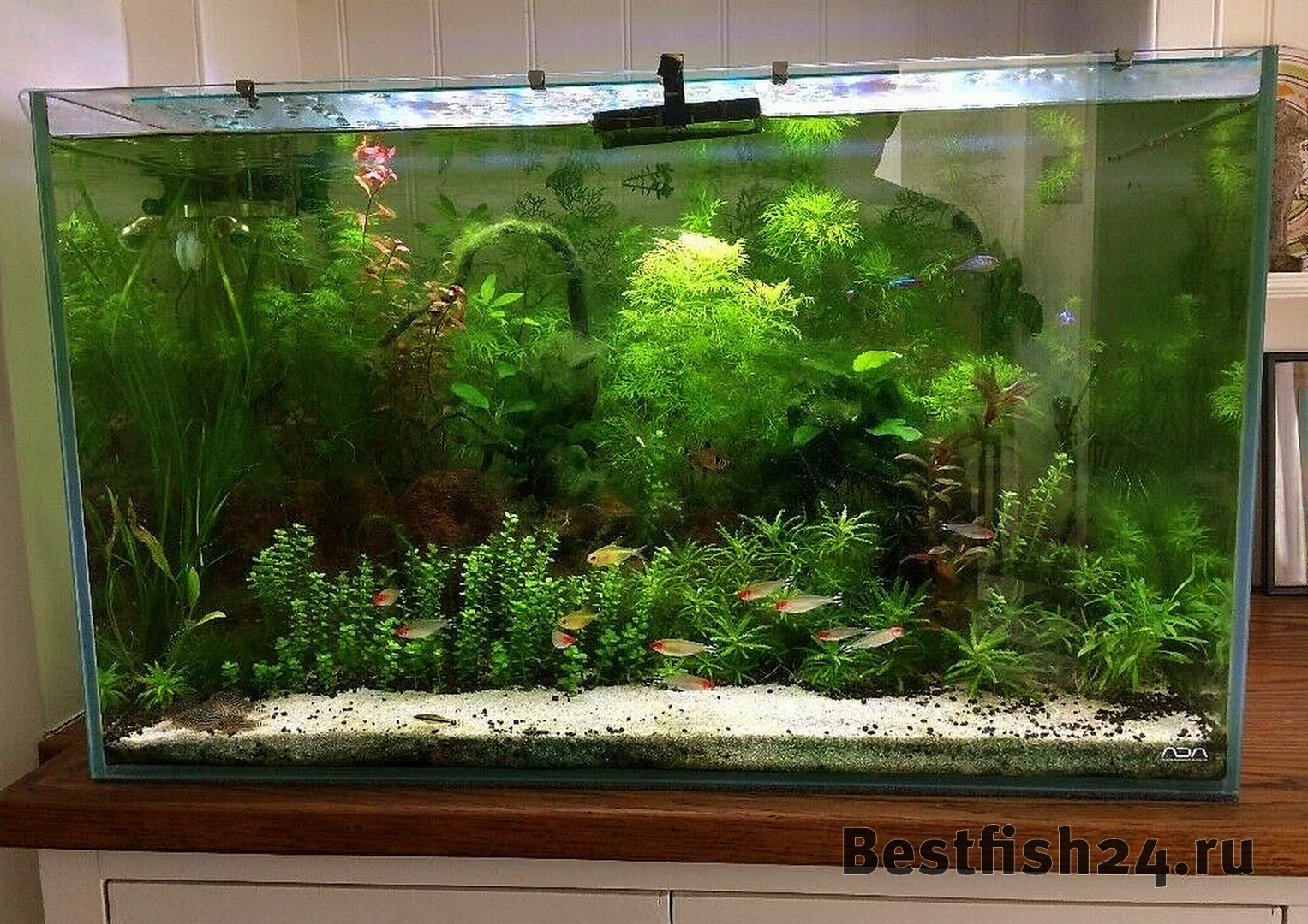 Низкая цена! Купить 1е) Аквариум ADA Cube Garden 75P/141л