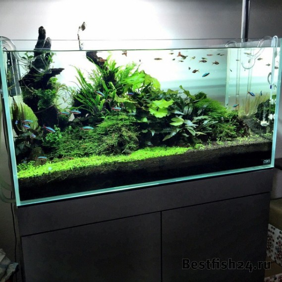 Низкая цена! Купить 1ж) Аквариум ADA Cube Garden 90P/166л