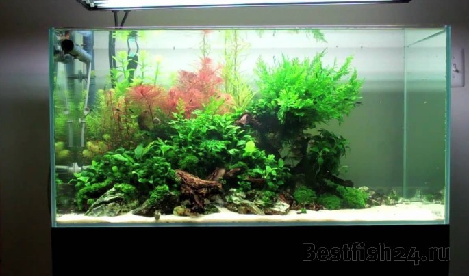 Низкая цена! Купить 1ж) Аквариум ADA Cube Garden 90P/166л