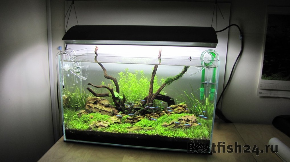 Низкая цена! Купить 1к) Аквариум ADA Cube Garden 60P Mist