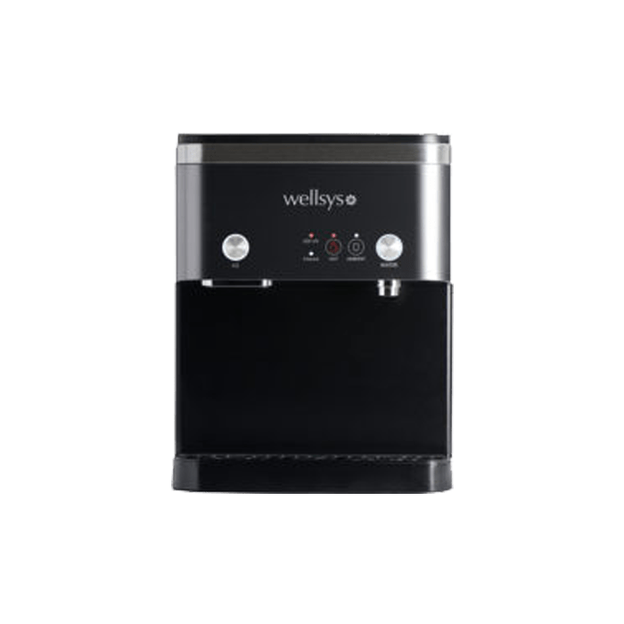 Wellsys 15000 | BestFit Water