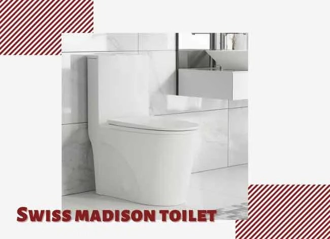 Swiss Madison Toilet Reviews 2021