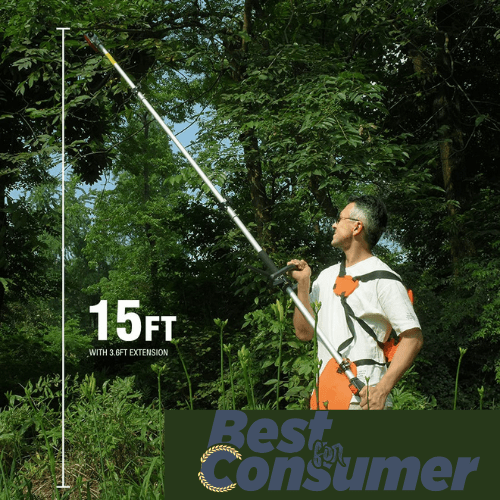 Best Gas Pole Saw In 2022 2 Minutes Guide Best For Consumer