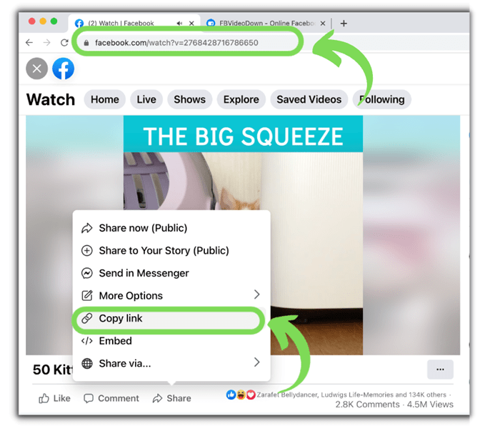 How to Download Facebook Video and Stories to Computer