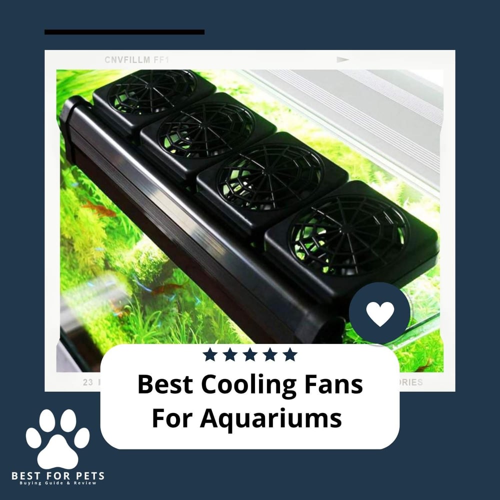 The 15 Best Electric Aquarium Vacuum Gravel Cleaners