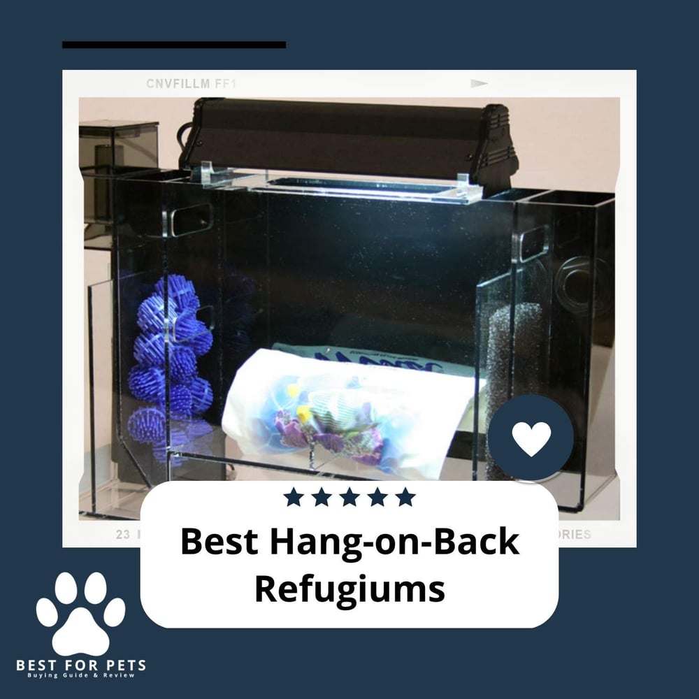 The 15 Best Electric Aquarium Vacuum Gravel Cleaners