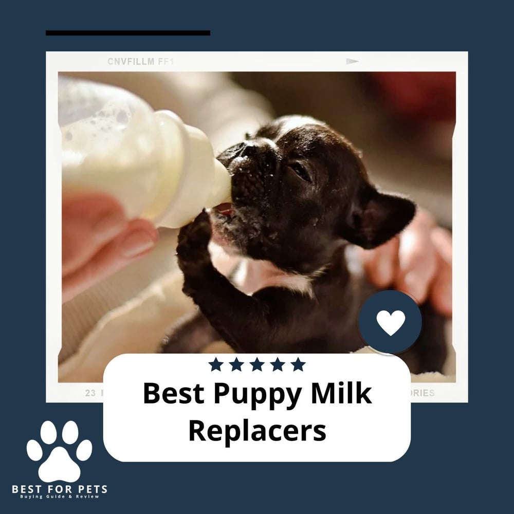 The 12 Best Puppy Milk Replacers