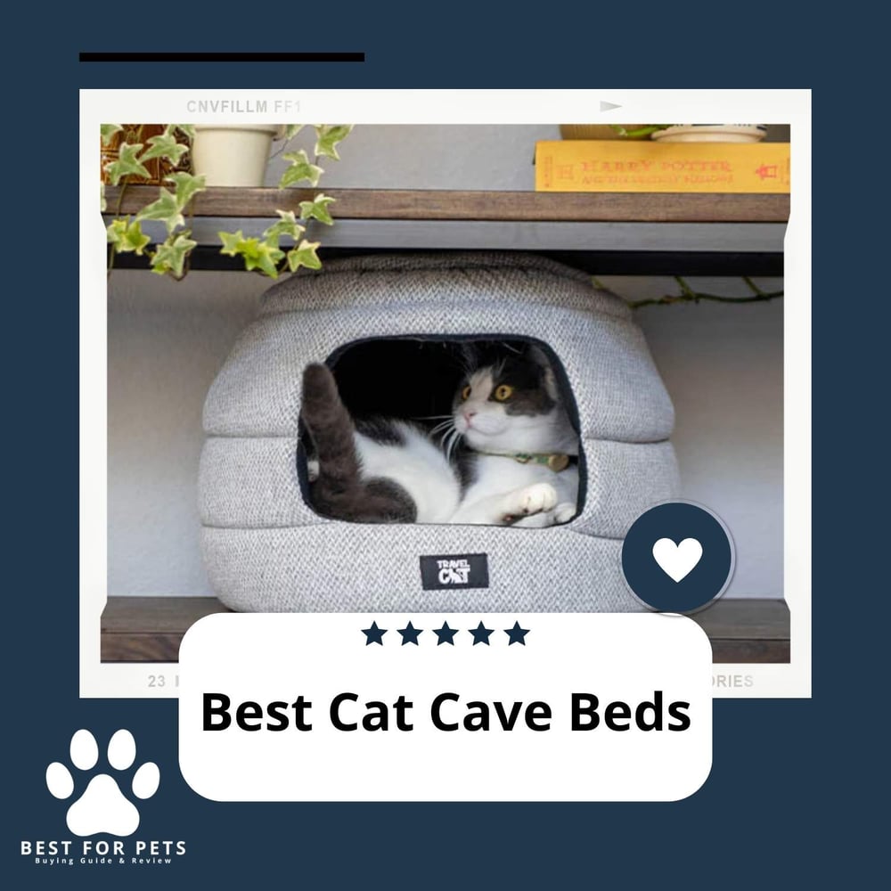 The 10 Best Cat Cave Beds