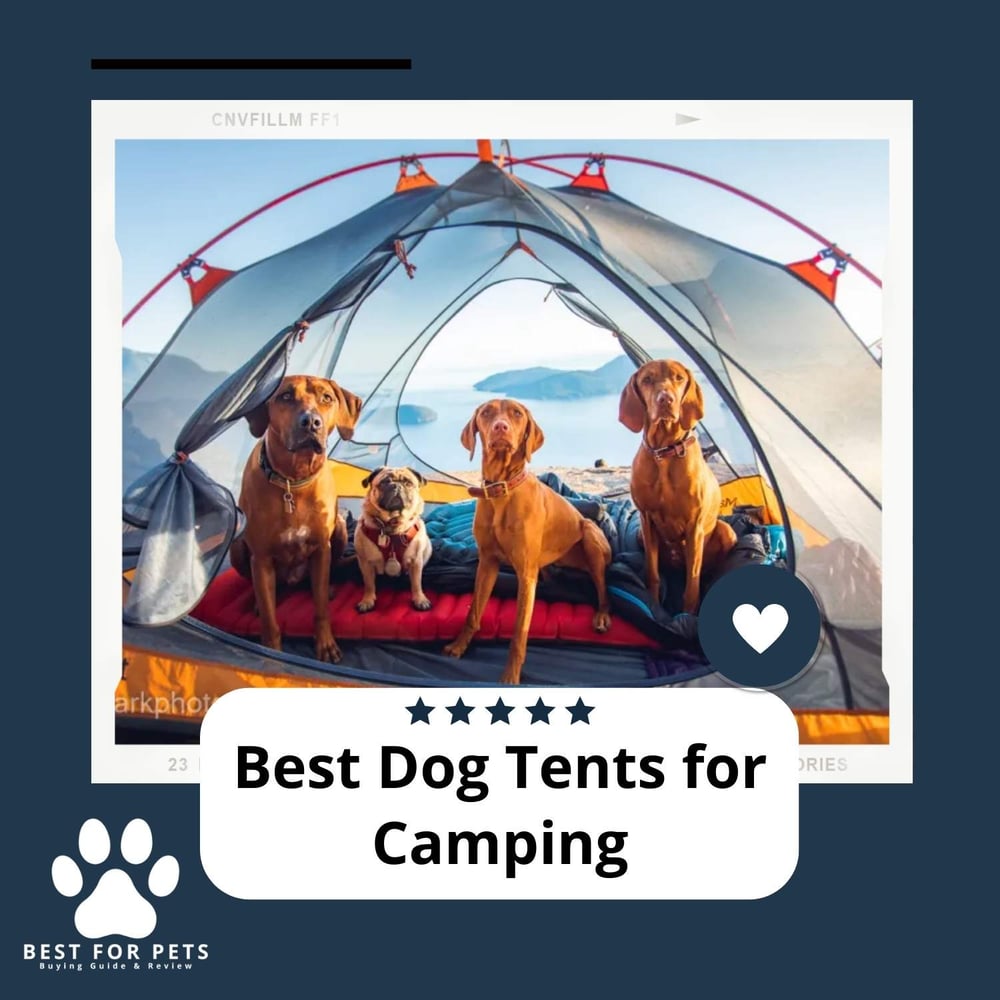 The 10 Best Dog Tents For Camping