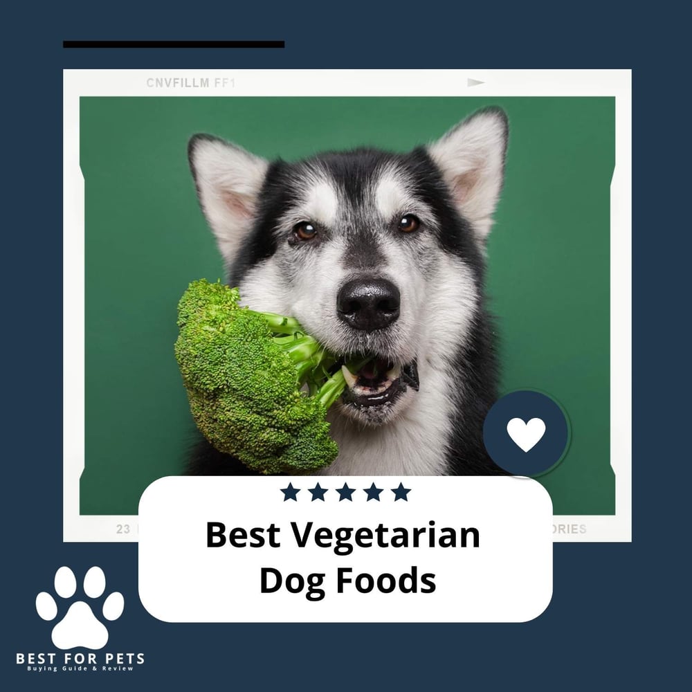 The 10 Best Vegetarian Dog Foods In 2023