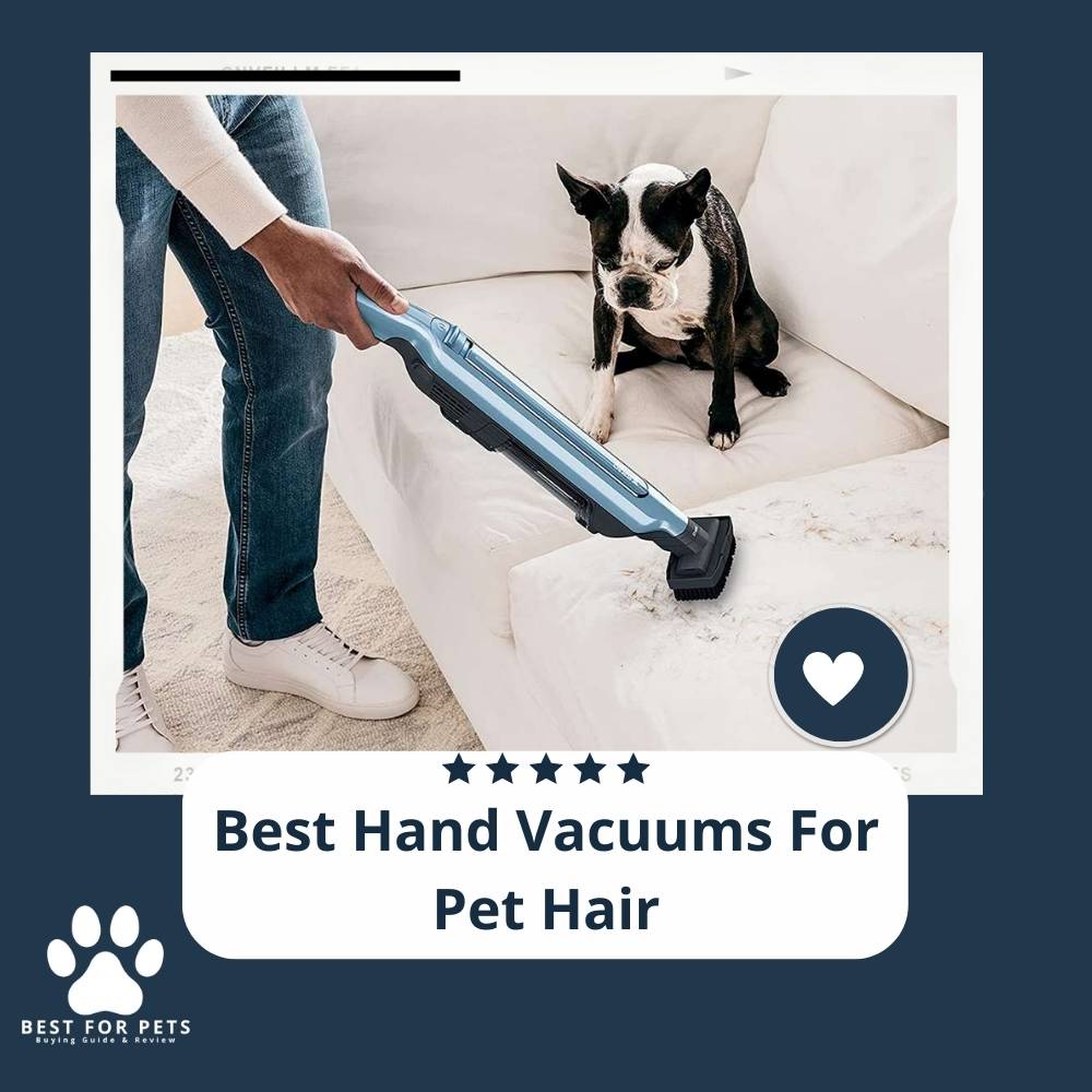 The 11 Best Pet Vacuums In 2023 BestForPets