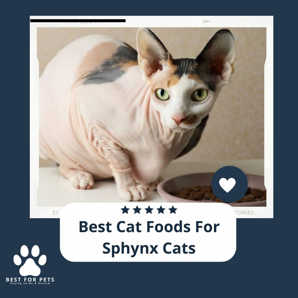 The 15 Best Cat Foods For Sphynx Cats Best For Pets