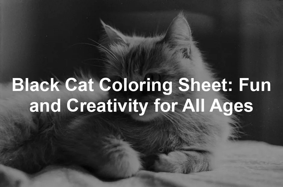 Black Cat Coloring Sheet Fun and Creativity for All Ages Best For