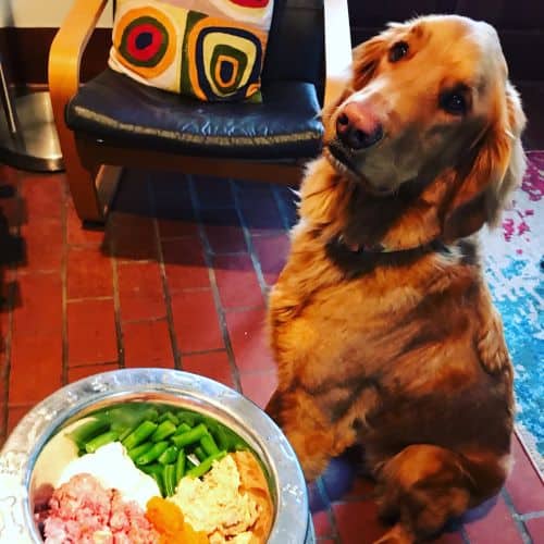 How Much Does A Raw Diet For Dogs Cost