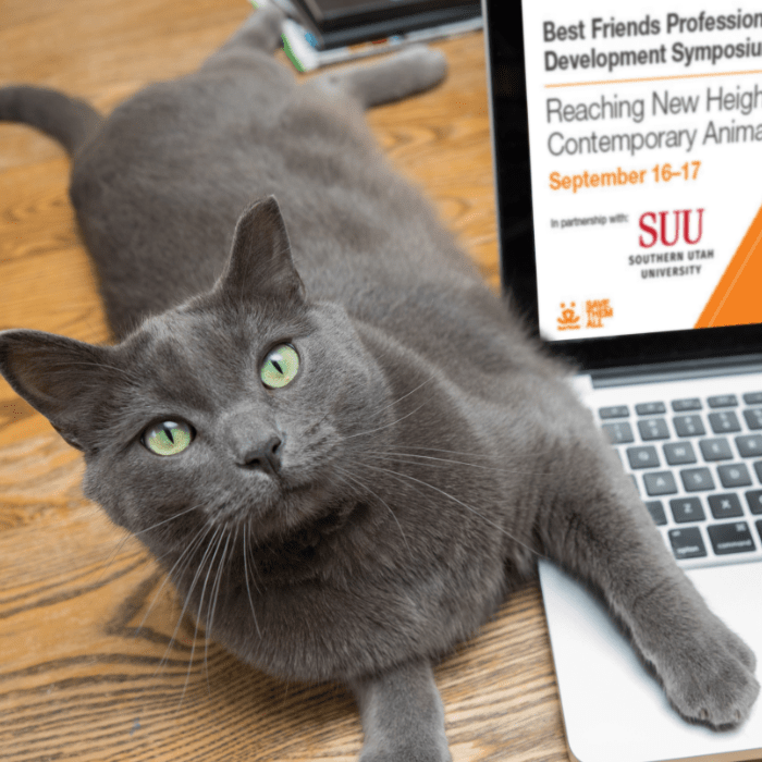 Lifesaving Events and Best Friends Animal Society Save