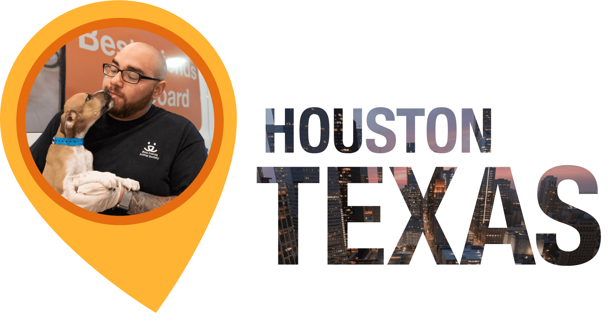 Strength — and transparency — in numbers Best Friends Animal Society Save Them All