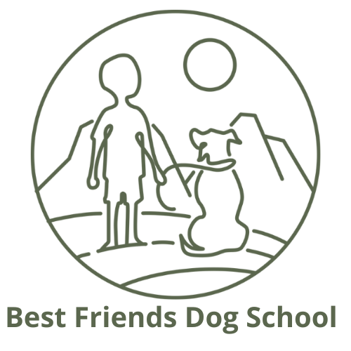Services Best Friends Dog School