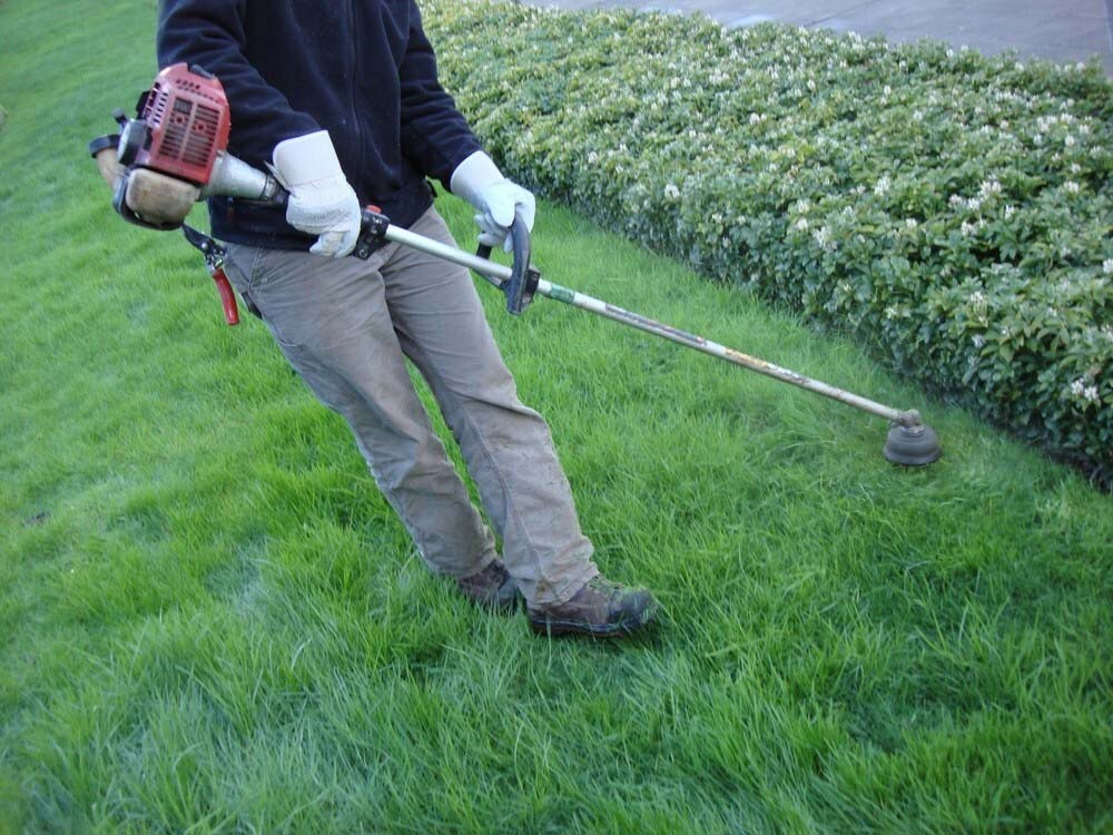 The 11 Best Gas Weed Eaters of 2023 Best Garden Tips