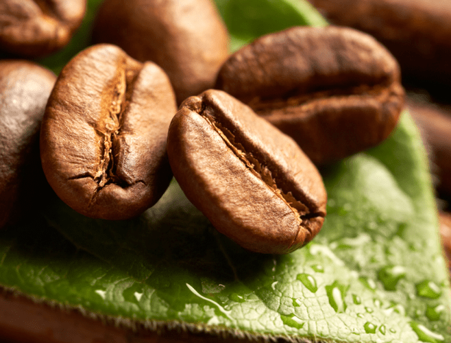 About » Best Green Coffee Bean