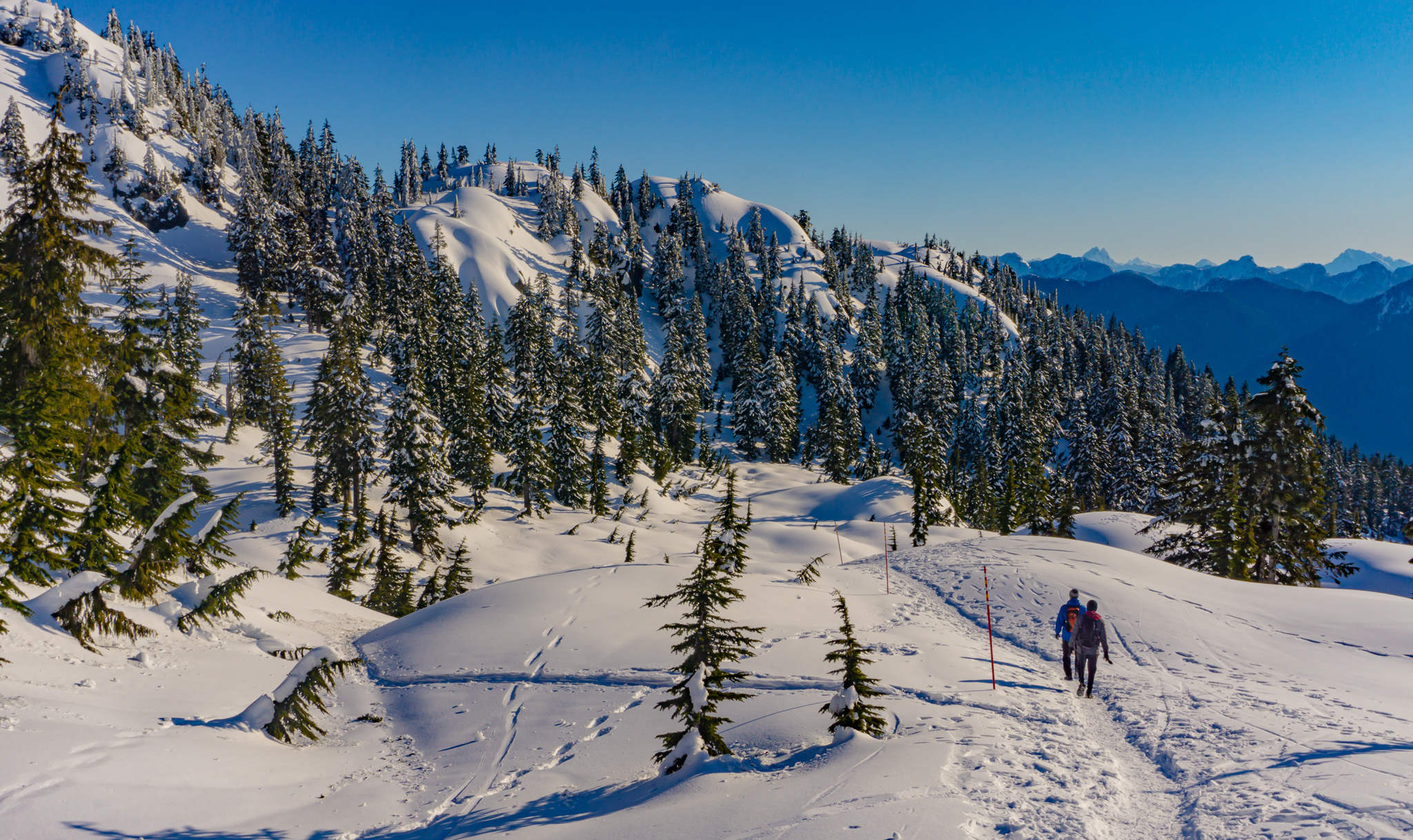 Hiking Pump Peak in Mount Seymour Provincial Park Best Hikes BC
