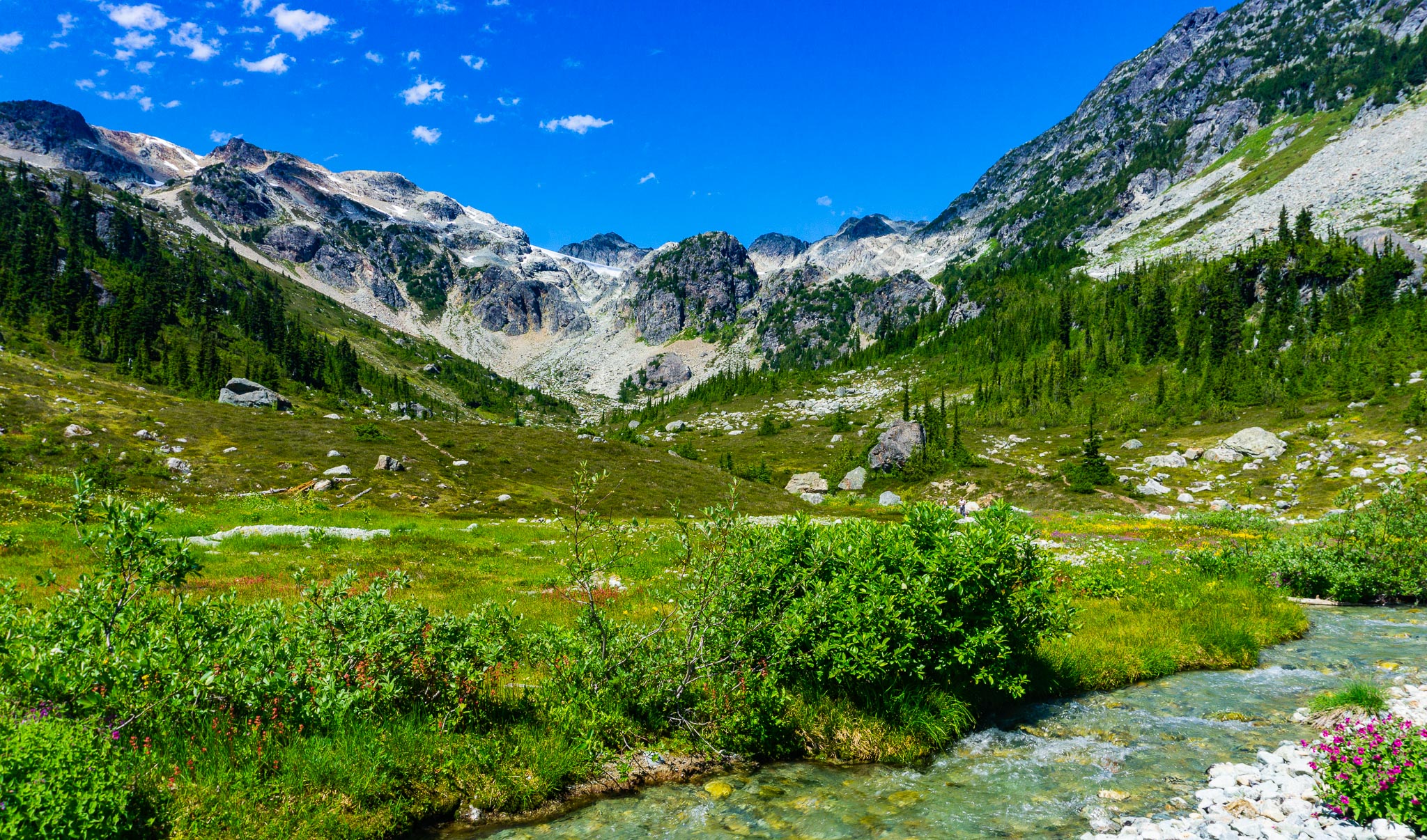 Hiking Brandywine Meadows near Whistler Best Hikes BC