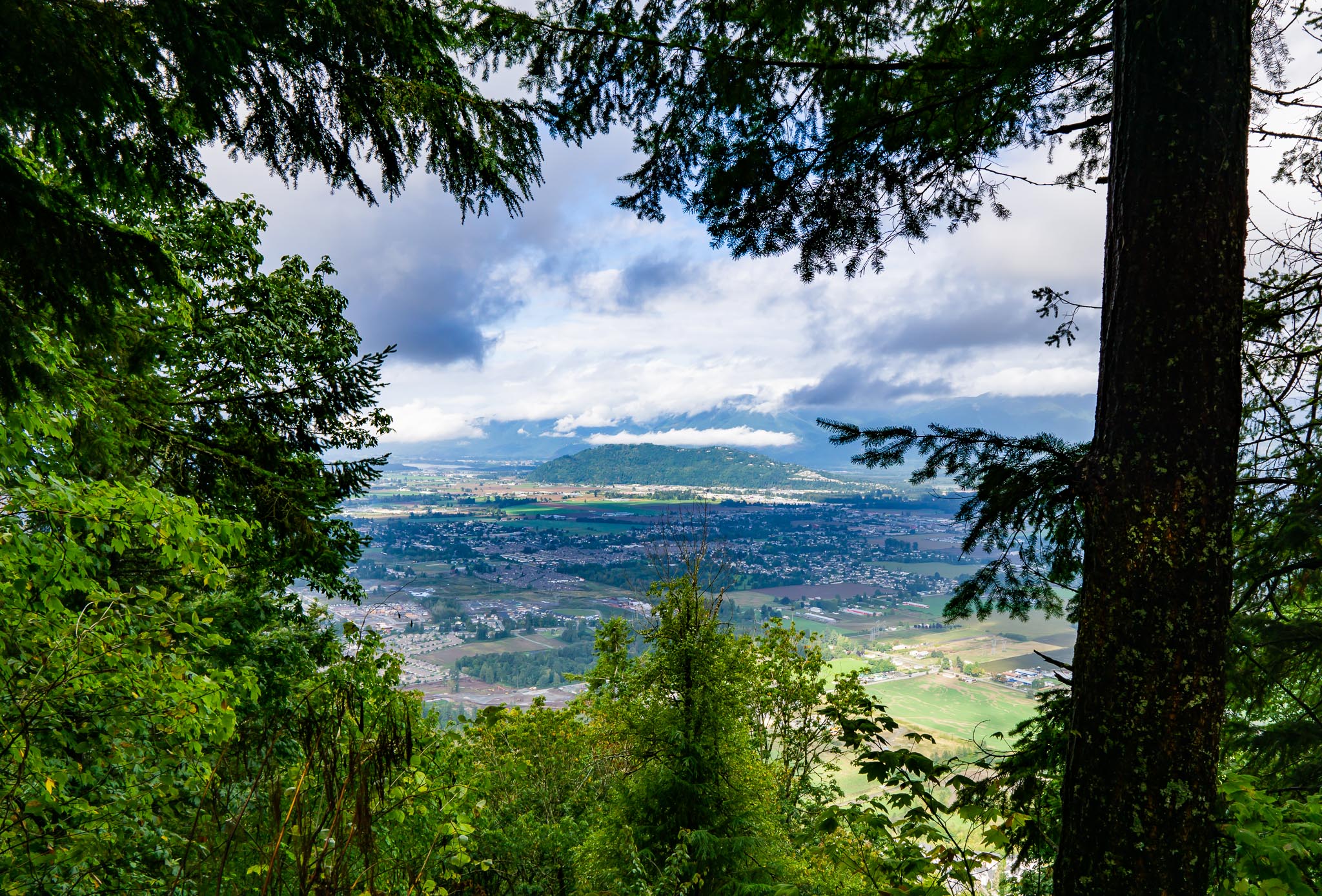 Hiking Mount Thom in Chilliwack Best Hikes BC