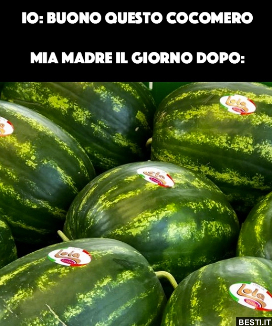 BESTI.it immagini divertenti, foto, barzellette, video