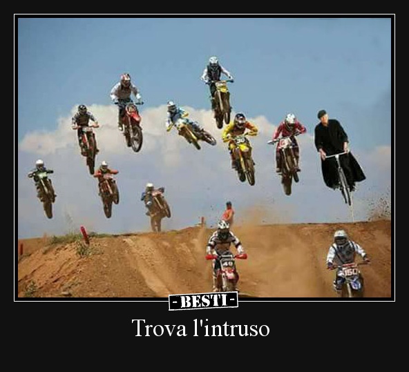 Trova l'intruso BESTI.it immagini divertenti, foto, barzellette, video