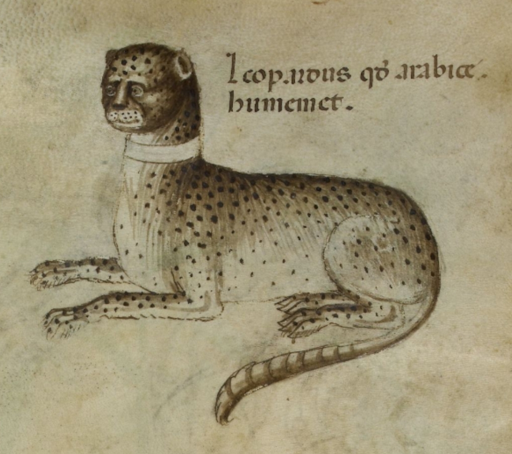Medieval Bestiary Beasts Leopard