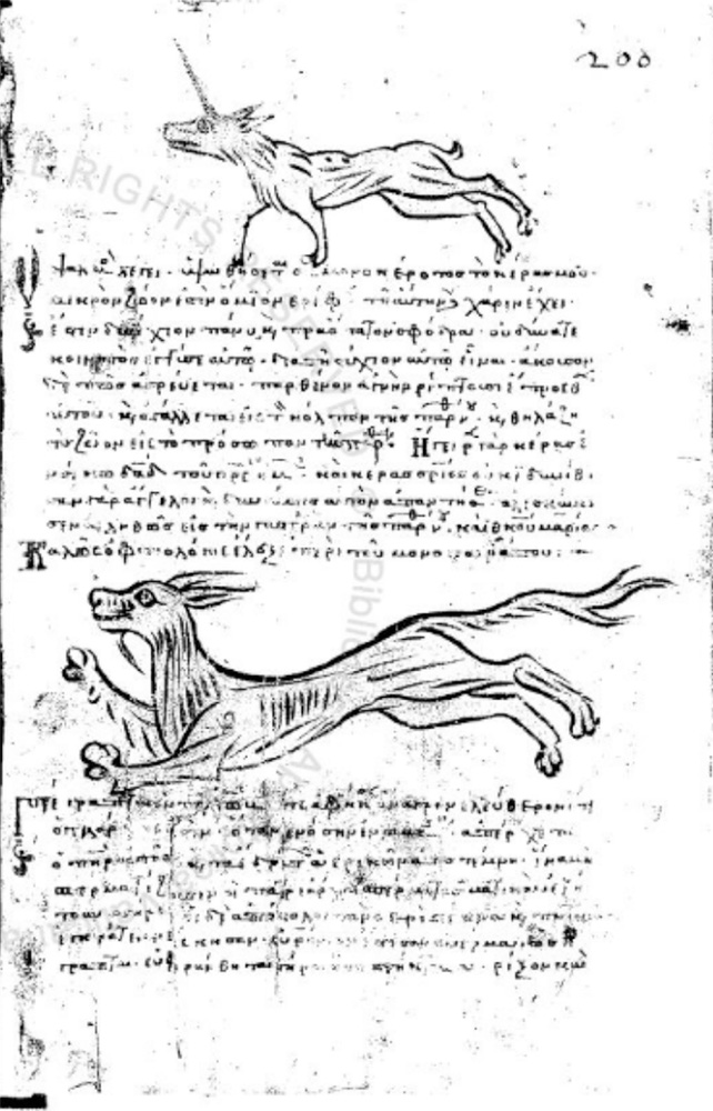 Medieval Bestiary Manuscripts Biblioteca Vaticana Vat. gr. 695