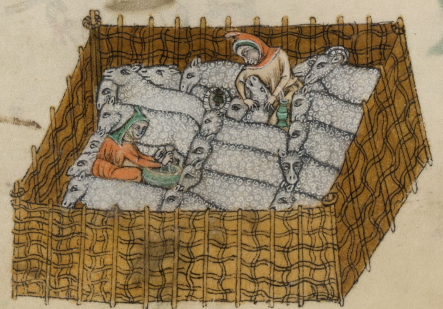 Medieval Bestiary Sheep