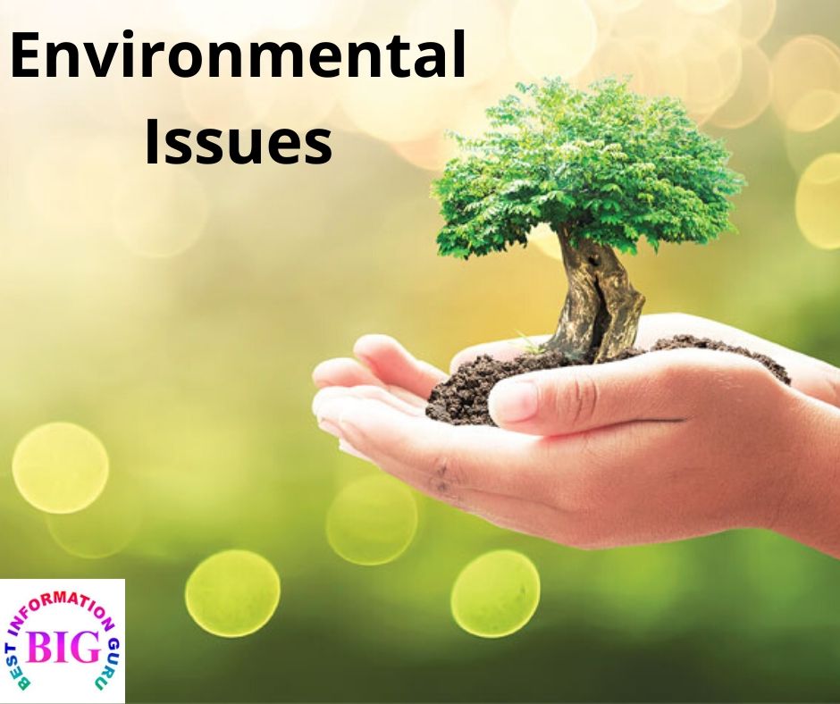 Environmental Issues Essay for Bignnerrs & school boys & girls