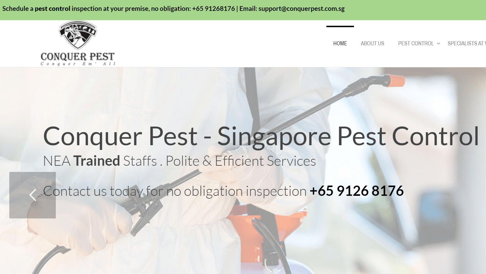 Pest Control Brisbane Pest Inspections and Extermination