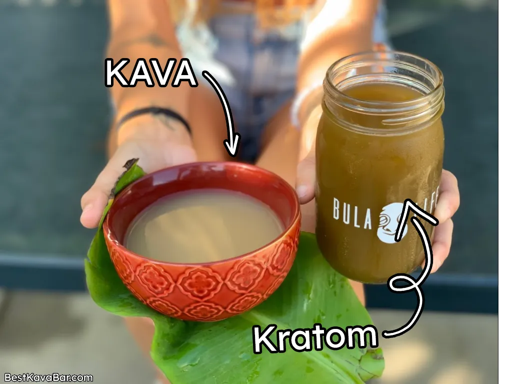 Kava vs Kratom What's Good For What? Can you mix them?