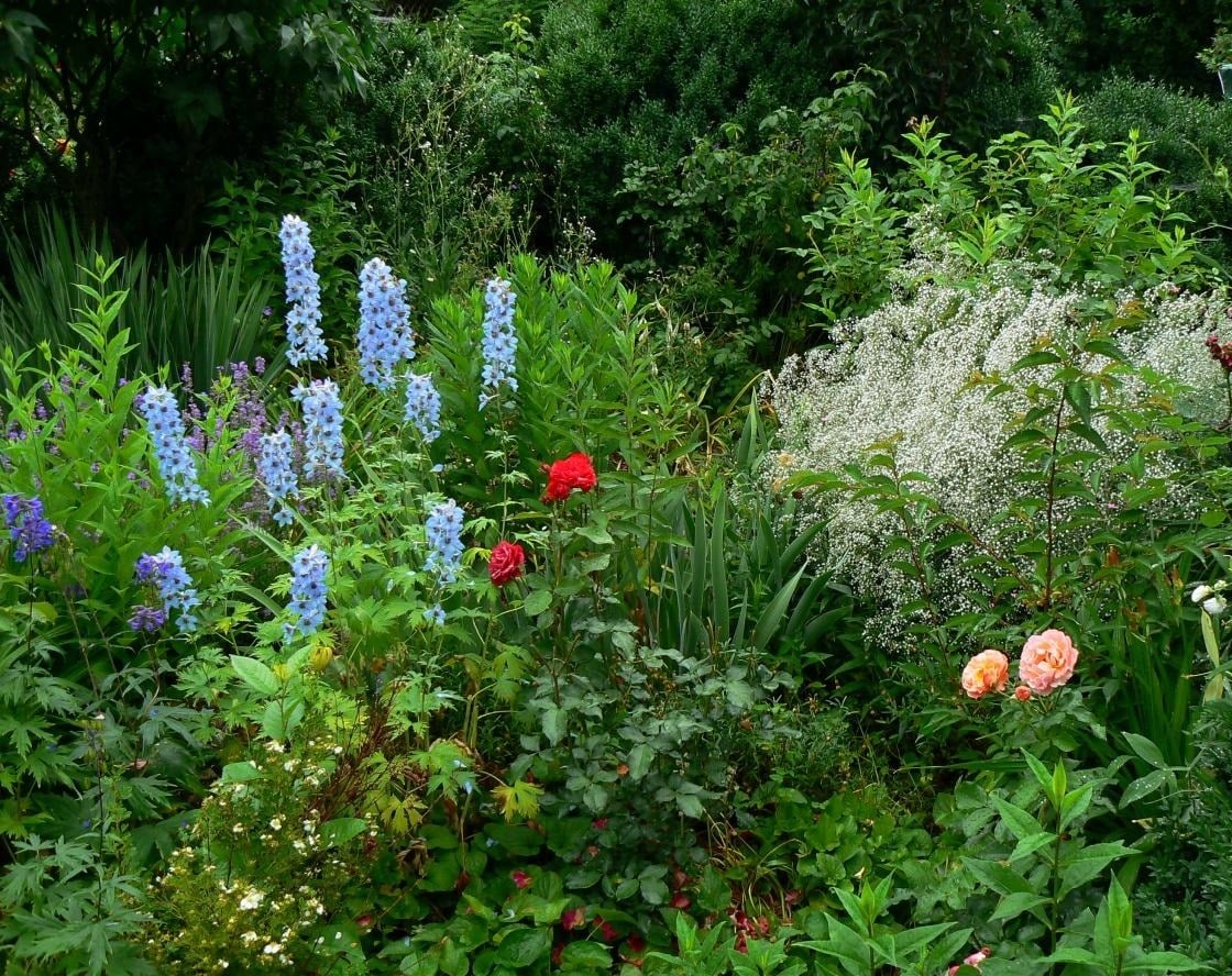 Flowers in June Best Landscape Ideas