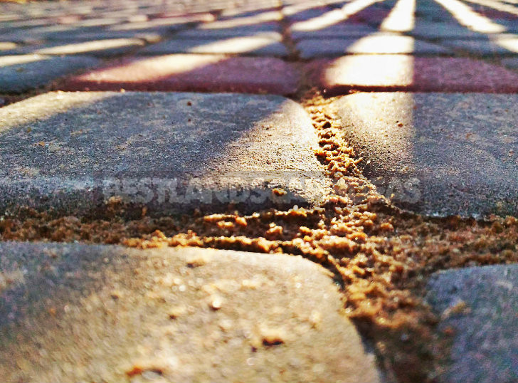 Laying Paving Stones With Their Hands Best Landscape Ideas