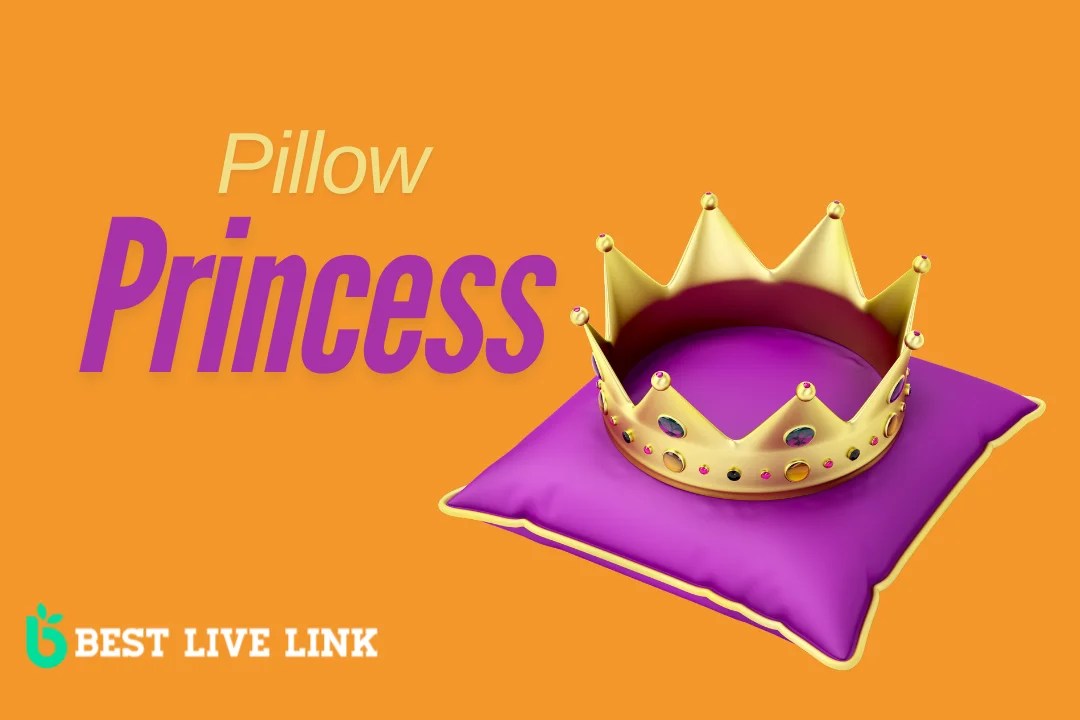 Pillow Princess Meaning, Origins and Understanding the Term