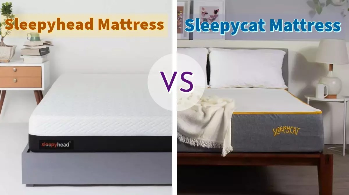 Sleepyhead Vs Sleepycat Mattress Comparison of 2024
